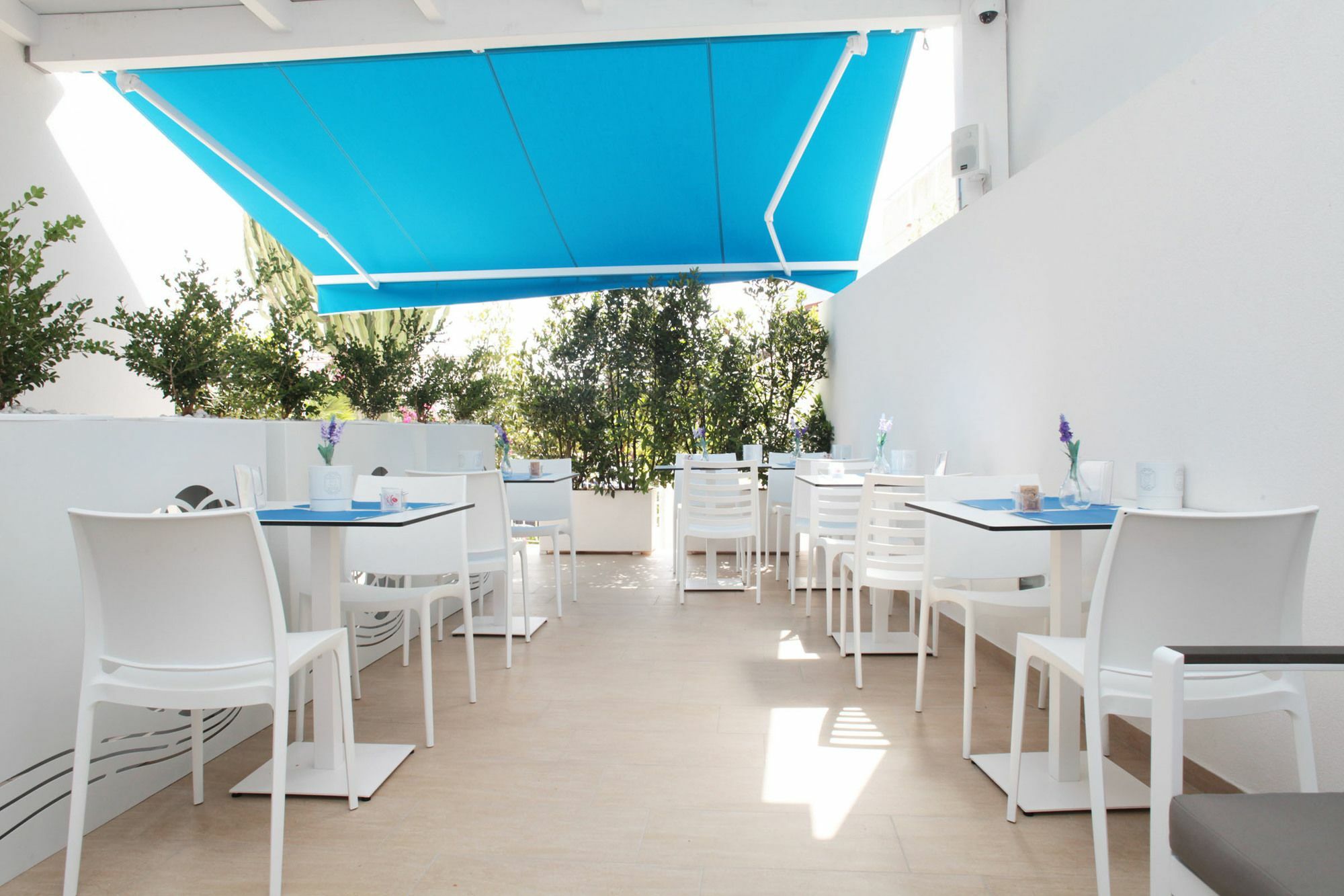 Rivazzurra Design Rooms 圣维托罗卡波 外观 照片