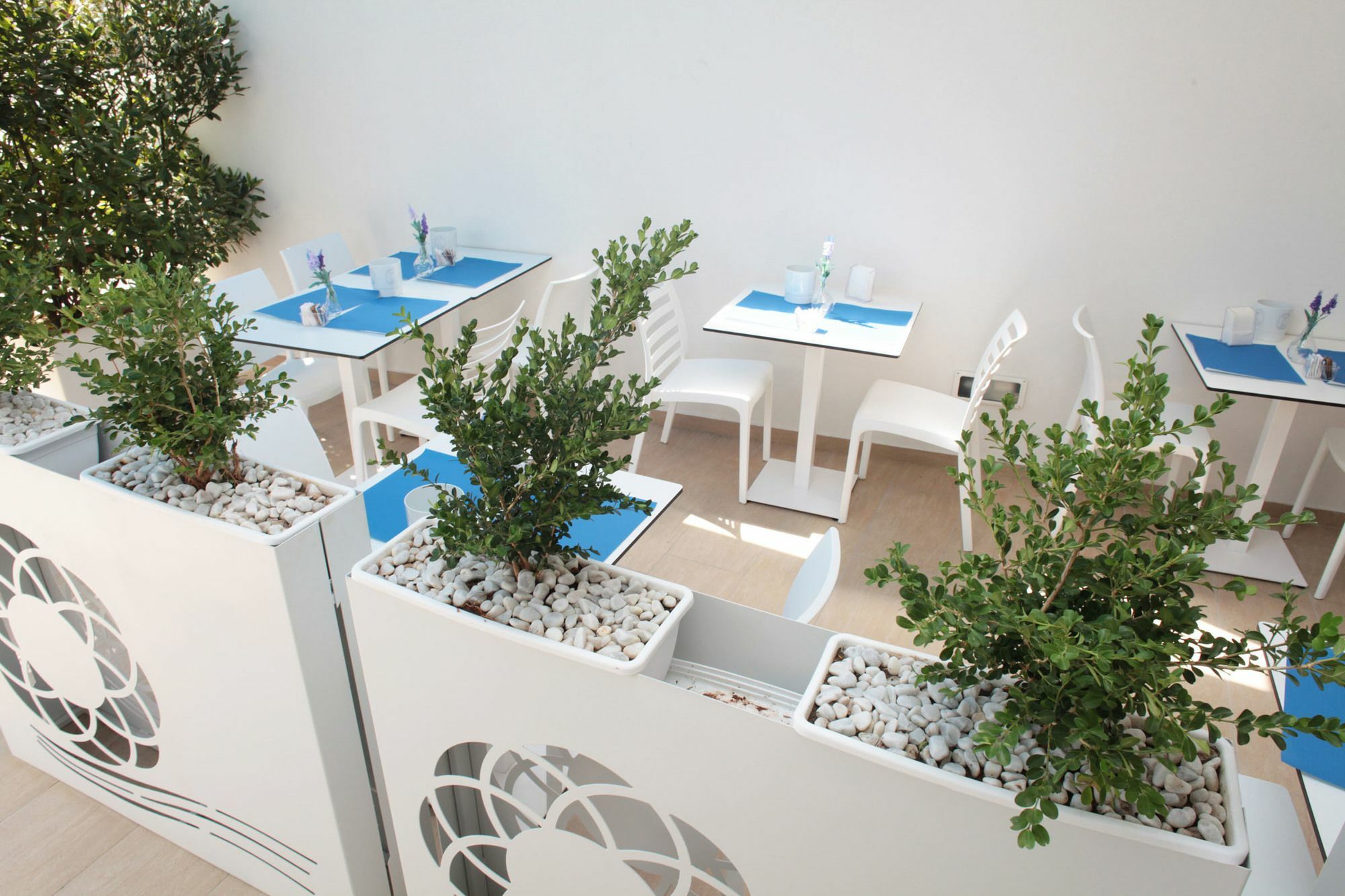 Rivazzurra Design Rooms 圣维托罗卡波 外观 照片